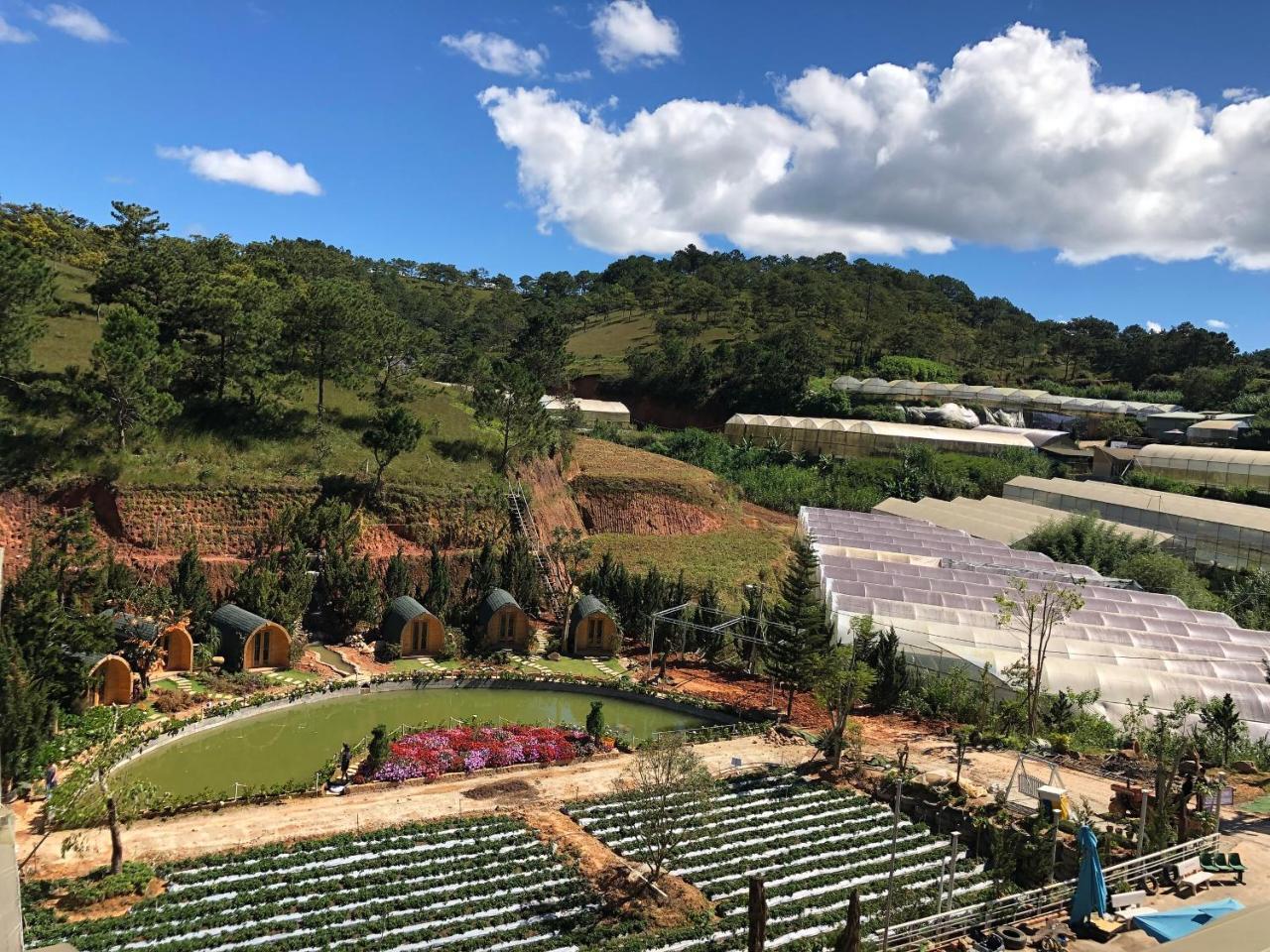 Berry Valley Homestay Da Lat Eksteriør billede